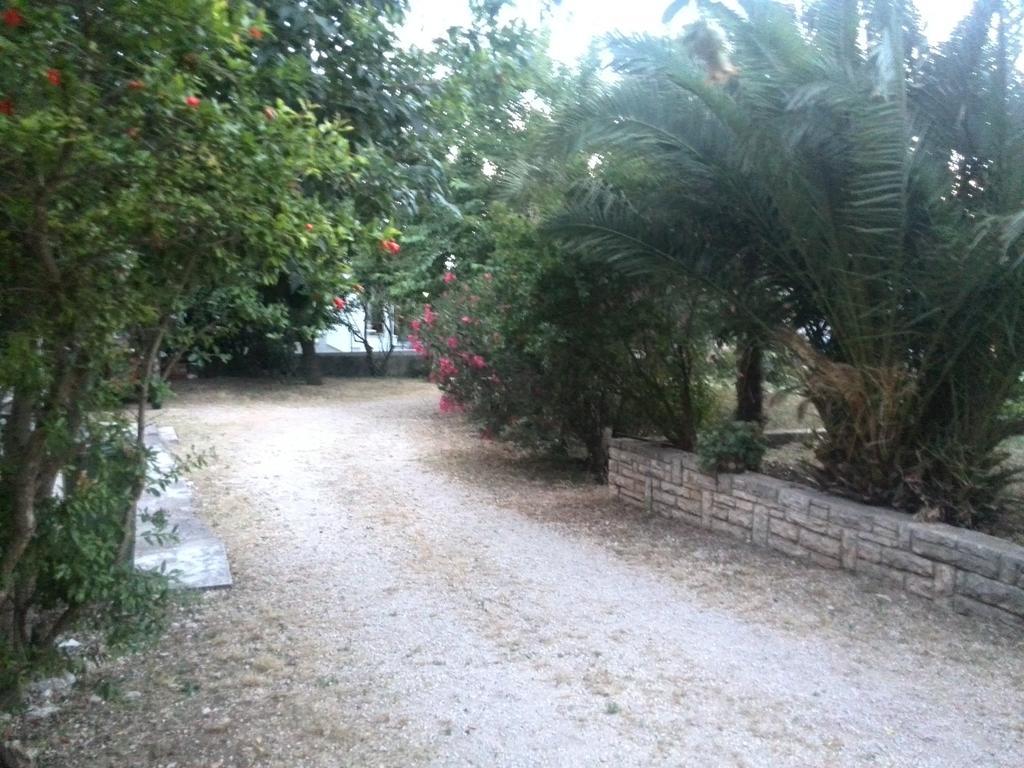 Apartment Tome Biograd Na Moru Ruang foto
