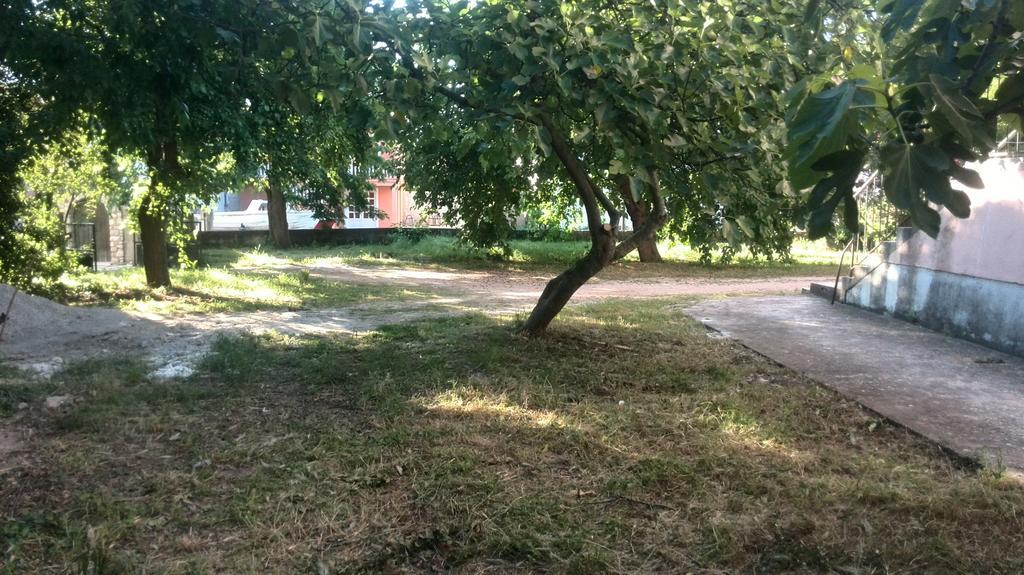 Apartment Tome Biograd Na Moru Bagian luar foto