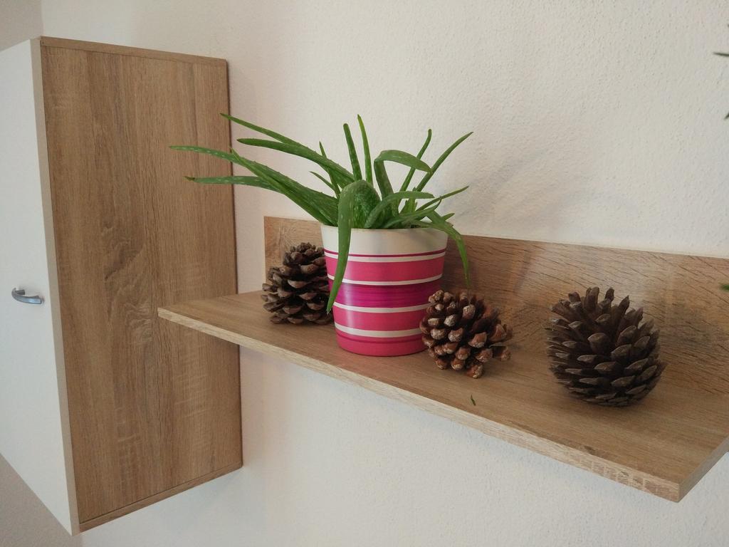 Apartment Tome Biograd Na Moru Bagian luar foto